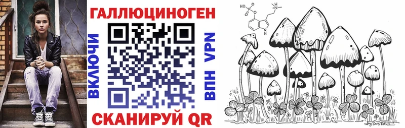 Псилоцибиновые грибы мухоморы  купить наркотик  Алексин 