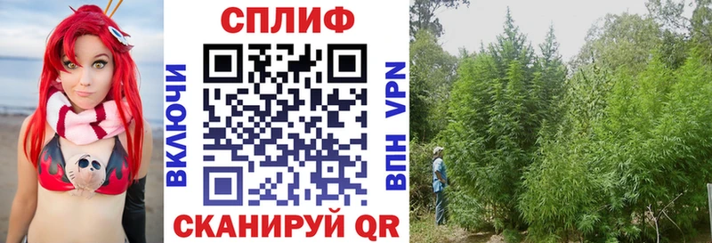 Конопля семена  магазин    Алексин 
